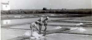 Récolte du sel en 1955 sur le territoire actuel de la Réserve 1955 (coll Denise Martin)