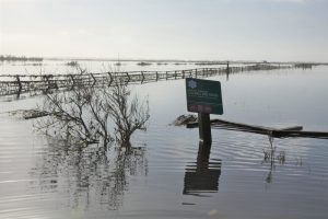 Submersion lors de la tempête Xynthia en 2010